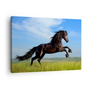 Quadro em tela - Um cavalo preto correndo contra um céu azul e um prado verde - 70x50cm - Um manifesto emocionante de liberdade  - Decoração de parede moderna para a sala de estar e quarto ARTTOR
