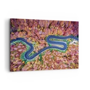 Quadro em tela - Estrada sinuosa pela floresta - 100x70 cm