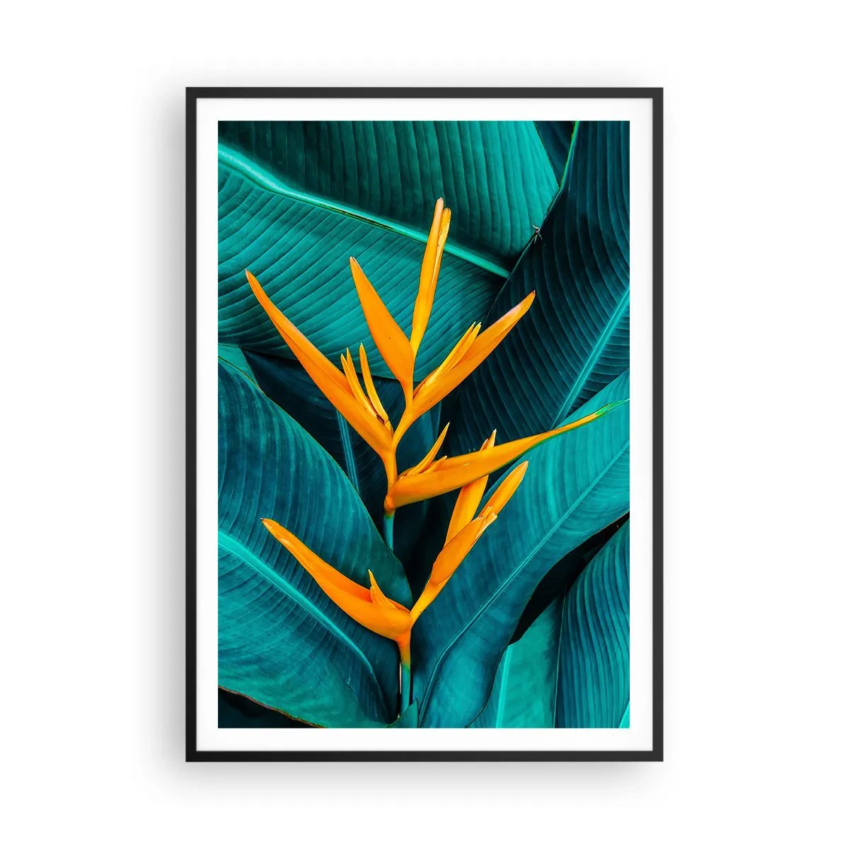 Pôster com moldura preta - Flor do Éden - 70x100 cm
