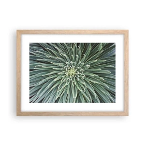 Pôster com moldura de carvalho claro - Nasce uma estrela - 40x30 cm