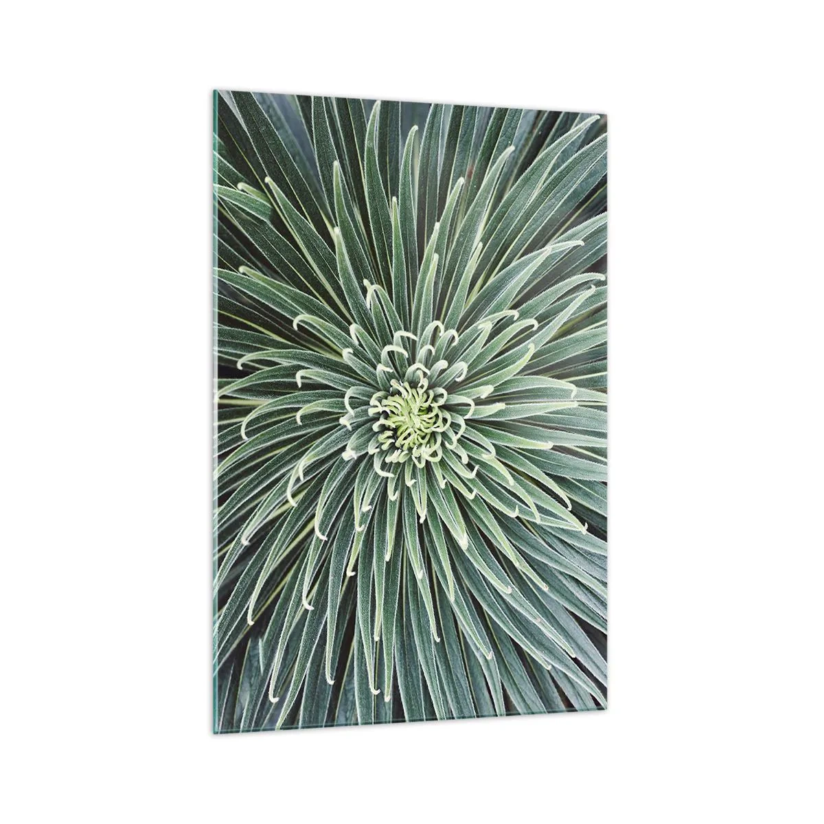 Quadro em vidro - Nasce uma estrela - 70x100 cm