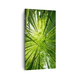 Quadro em tela - Em um bosque de bambu - 45x80 cm