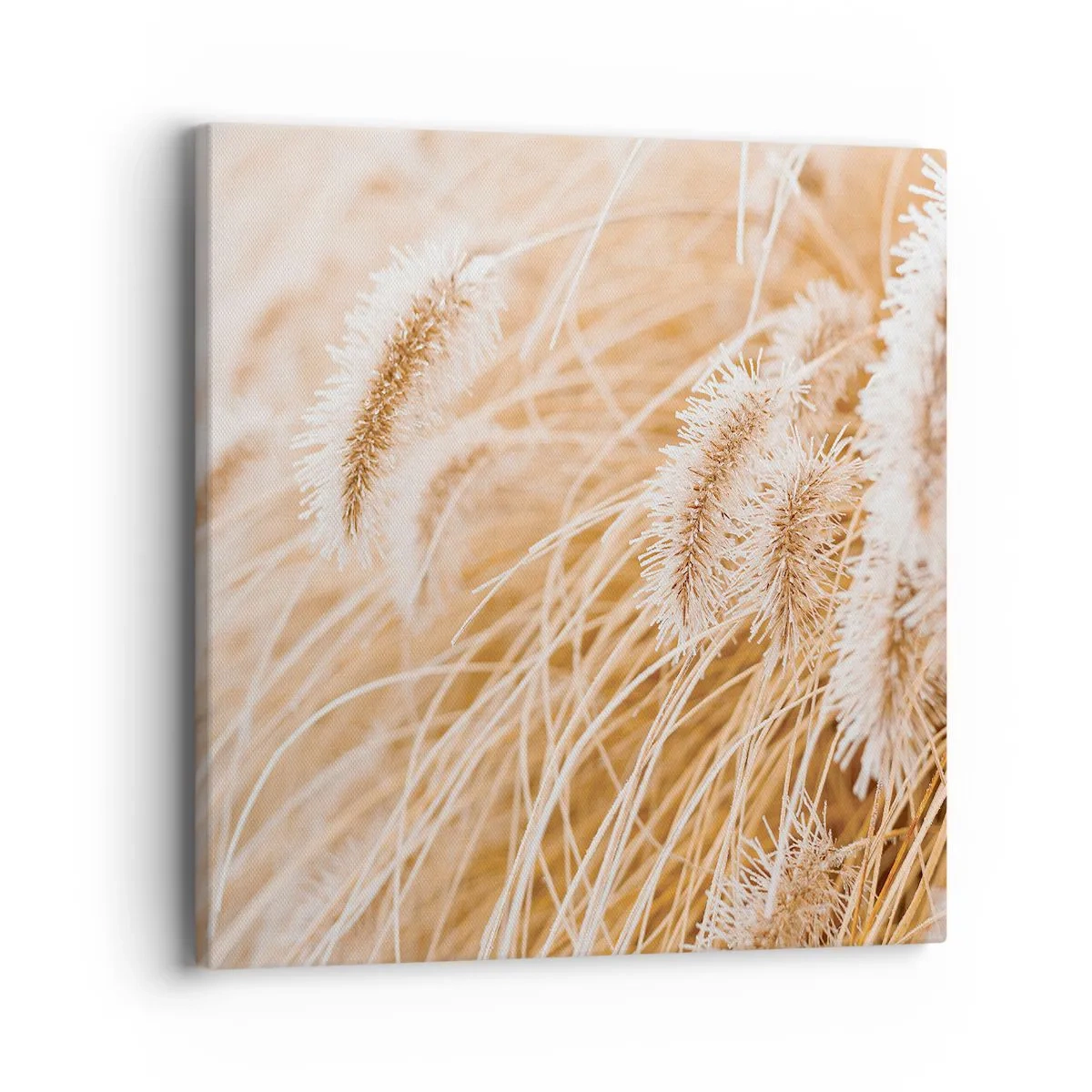 Quadro em tela - O murmúrio dourado das plantas - 40x40 cm