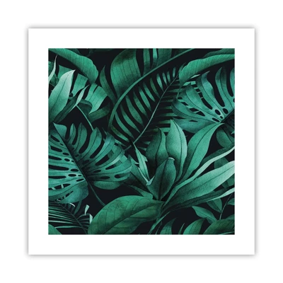 Pôster - A profundidade da vegetação tropical - 40x40 cm