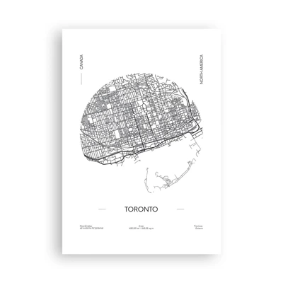 Pôster - Anatomia de Toronto - 70x100 cm