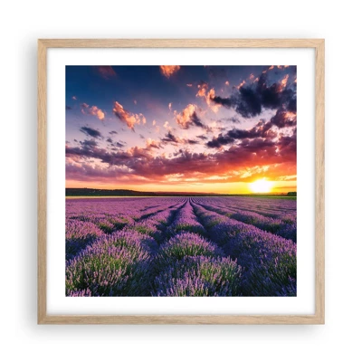 Pôster com moldura de carvalho claro - O mundo da lavanda - 50x50 cm