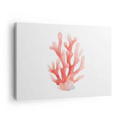 Quadro em tela - Coral de cor coral - 70x50 cm