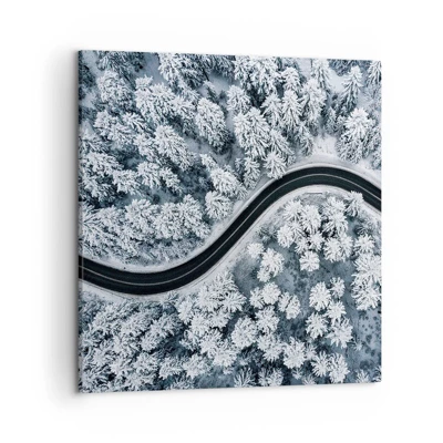 Quadro em tela - Pelaa floresta no inverno - 50x50 cm