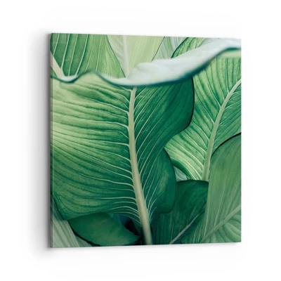 Quadro em tela - Vida intensamente verde - 70x70 cm