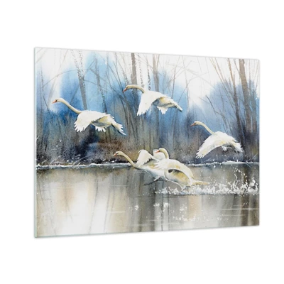 Quadro em vidro - Como no conto de fadas sobre cisnes selvagens - 70x50 cm