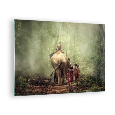 Quadro em vidro - Novo Livro da Selva - 70x50 cm