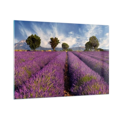 Quadro em vidro - Prados de lavanda - 100x70 cm