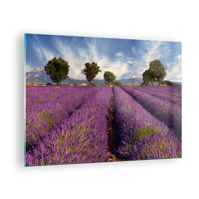 Quadro em vidro - Prados de lavanda - 70x50 cm