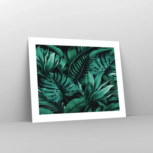 Pôster - A profundidade da vegetação tropical - 50x40 cm