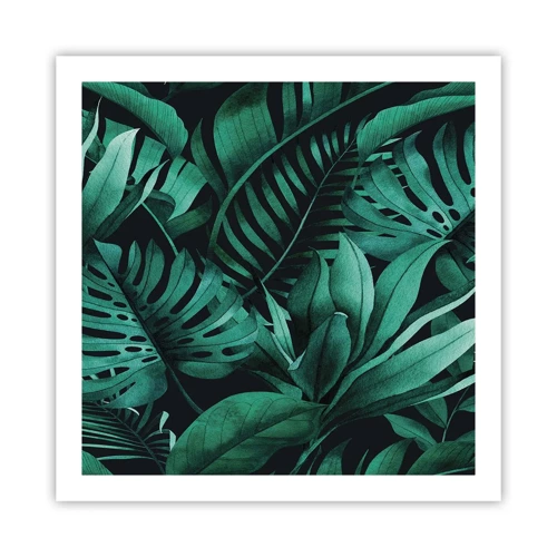 Pôster - A profundidade da vegetação tropical - 60x60 cm