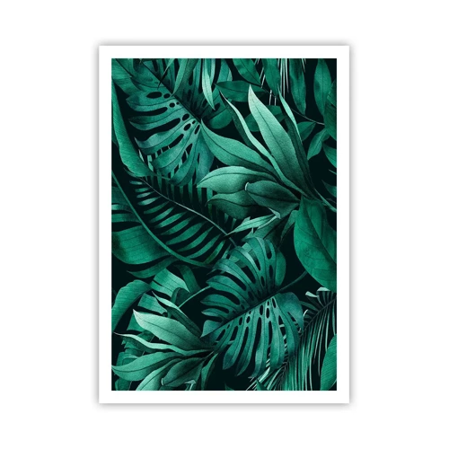 Pôster - A profundidade da vegetação tropical - 70x100 cm