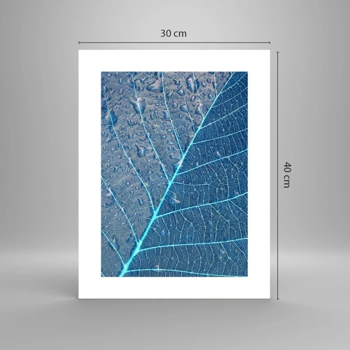 Pôster - A vida em azul - 30x40 cm