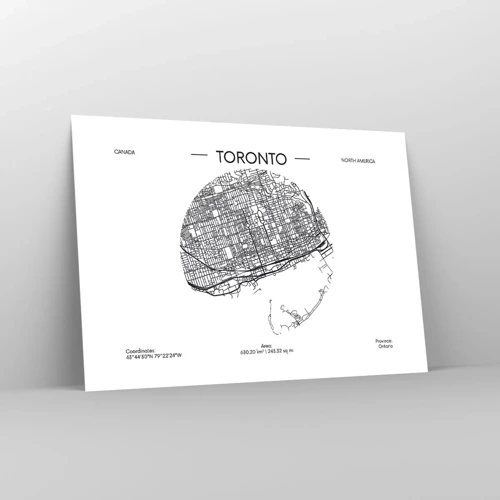 Pôster - Anatomia de Toronto - 100x70 cm