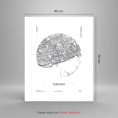 Pôster - Anatomia de Toronto - 40x50 cm