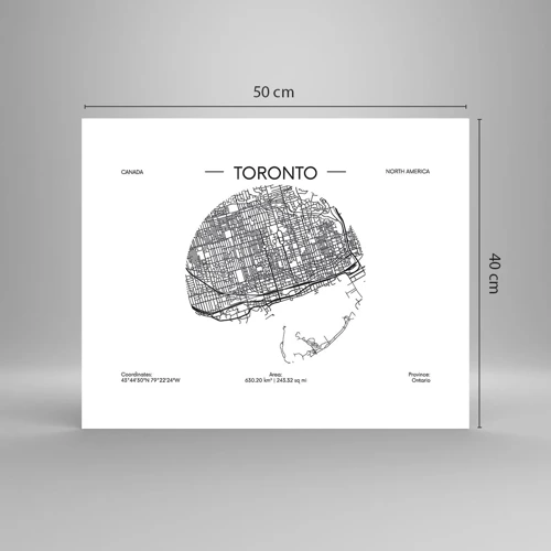 Pôster - Anatomia de Toronto - 50x40 cm