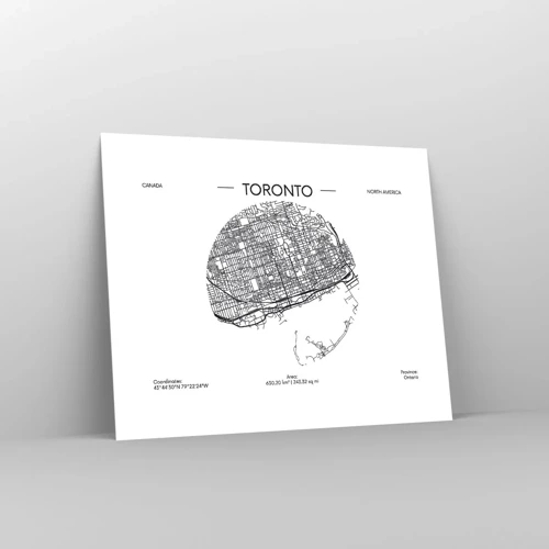 Pôster - Anatomia de Toronto - 50x40 cm