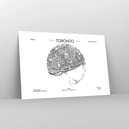 Pôster - Anatomia de Toronto - 91x61 cm