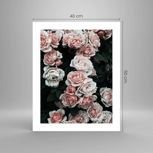 Pôster - Conjuntos de rosas - 40x50 cm