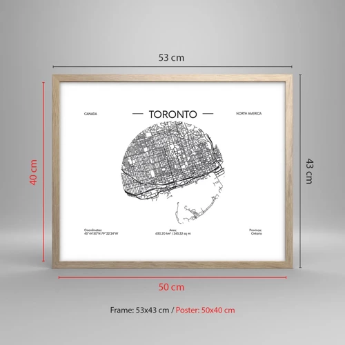 Pôster com moldura de carvalho claro - Anatomia de Toronto - 50x40 cm