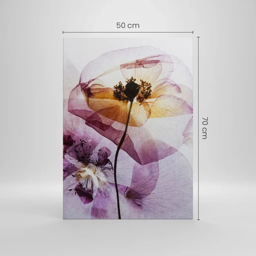 Quadro em tela - A transparência das flores - 50x70 cm