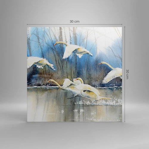 Quadro em tela - Como no conto de fadas sobre cisnes selvagens - 30x30 cm