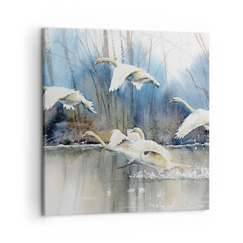 Quadro em tela - Como no conto de fadas sobre cisnes selvagens - 50x50 cm