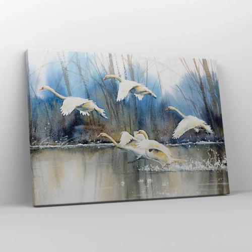 Quadro em tela - Como no conto de fadas sobre cisnes selvagens - 70x50 cm