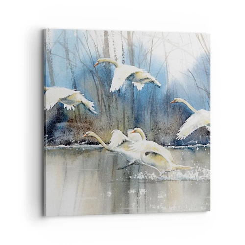 Quadro em tela - Como no conto de fadas sobre cisnes selvagens - 70x70 cm