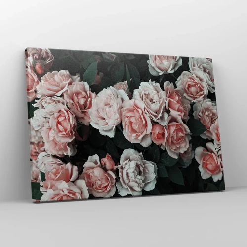 Quadro em tela - Conjuntos de rosas - 70x50 cm