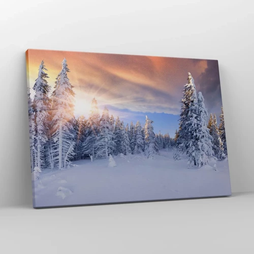 Quadro em tela - Espetáculo de neve da natureza - 70x50 cm