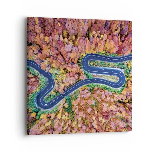 Quadro em tela - Estrada sinuosa pela floresta - 30x30 cm