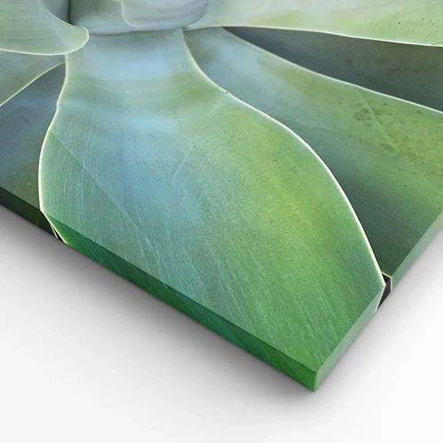 Quadro em tela - O nascimento da vegetação - 70x50 cm