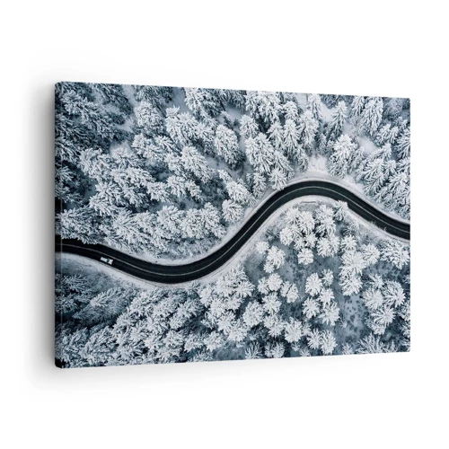 Quadro em tela - Pelaa floresta no inverno - 70x50 cm