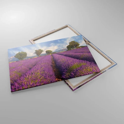 Quadro em tela - Prados de lavanda - 100x70 cm