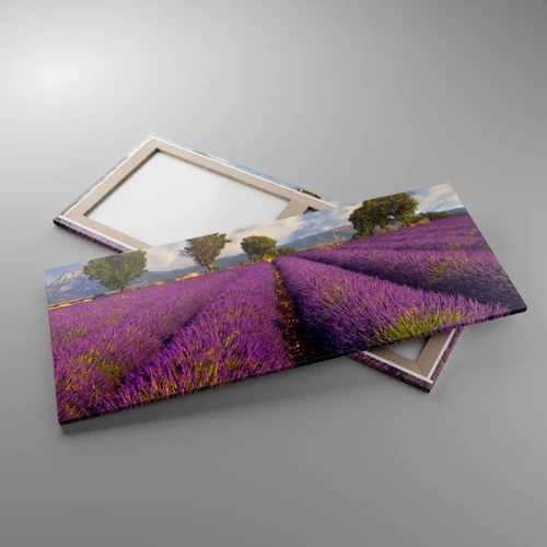 Quadro em tela - Prados de lavanda - 120x50 cm