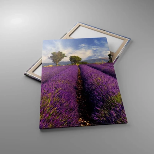 Quadro em tela - Prados de lavanda - 80x120 cm