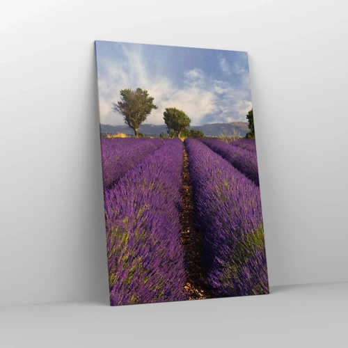 Quadro em tela - Prados de lavanda - 80x120 cm