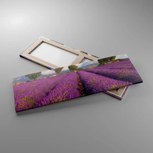 Quadro em tela - Prados de lavanda - 90x30 cm