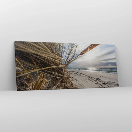 Quadro em tela - Reunião dos rlementos da natureza - 120x50 cm