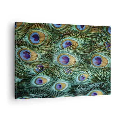 Quadro em tela - Um olhar de pavão - 70x50 cm