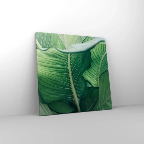 Quadro em tela - Vida intensamente verde - 60x60 cm