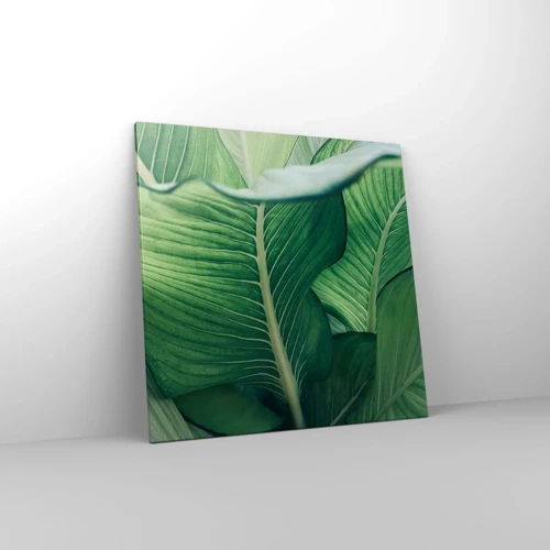 Quadro em tela - Vida intensamente verde - 70x70 cm