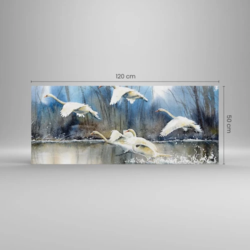 Quadro em vidro - Como no conto de fadas sobre cisnes selvagens - 120x50 cm