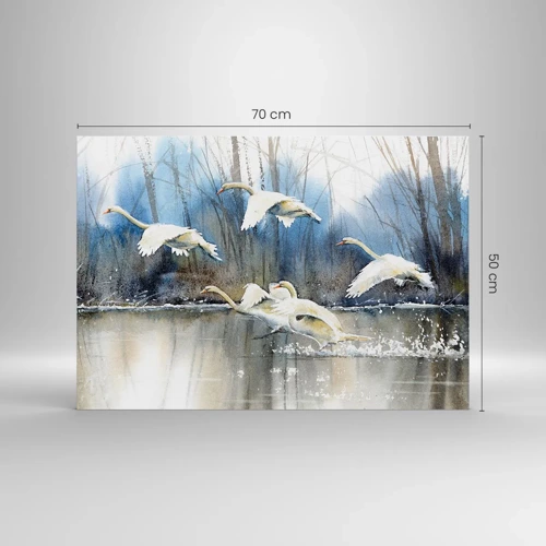 Quadro em vidro - Como no conto de fadas sobre cisnes selvagens - 70x50 cm