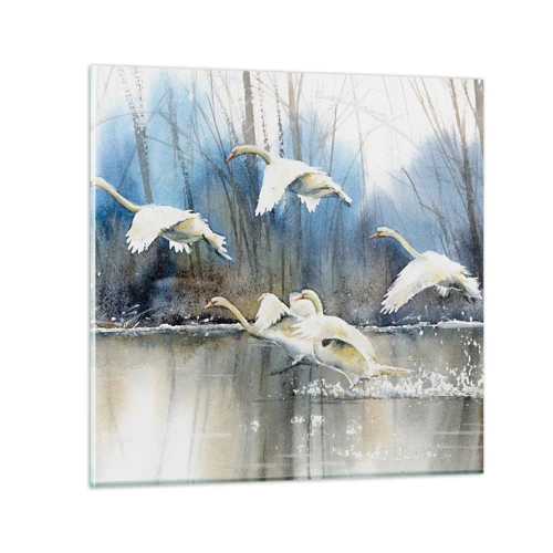 Quadro em vidro - Como no conto de fadas sobre cisnes selvagens - 70x70 cm